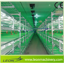 Система аккумуляторных клеток серии Leon для мясных цыплят / цыплят-бройлеров